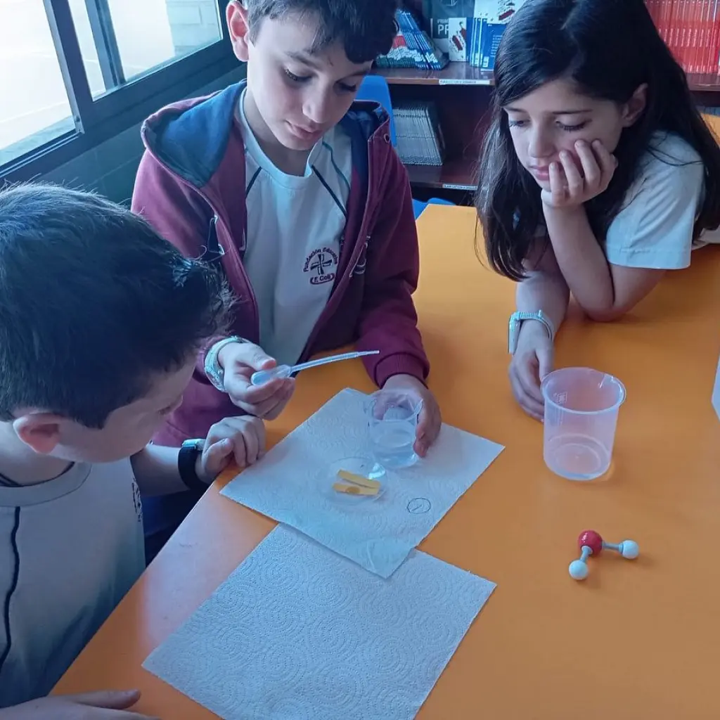 Etapa - Educación Primaria