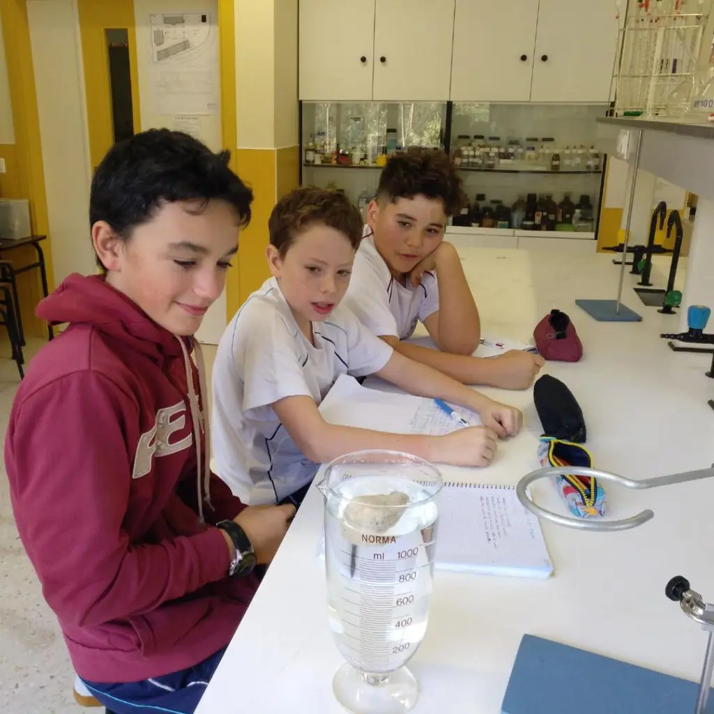 Educacion Secundaria 1 (1)