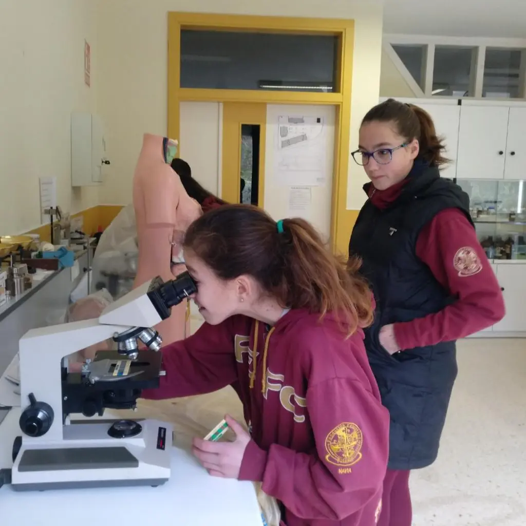 Educacion Secundaria 3 (1)