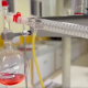 Laboratorio